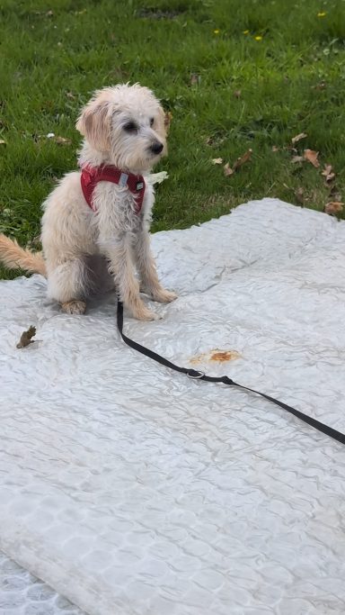 Verschiedene Untergründe